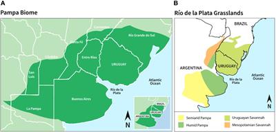 Diversity of vegetable landraces in the Pampa biome of Brazil and Uruguay: utilization and conservation strategies